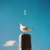 鸦哥走天涯